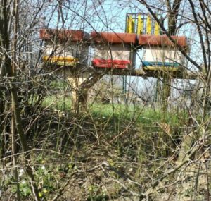 Standplatz